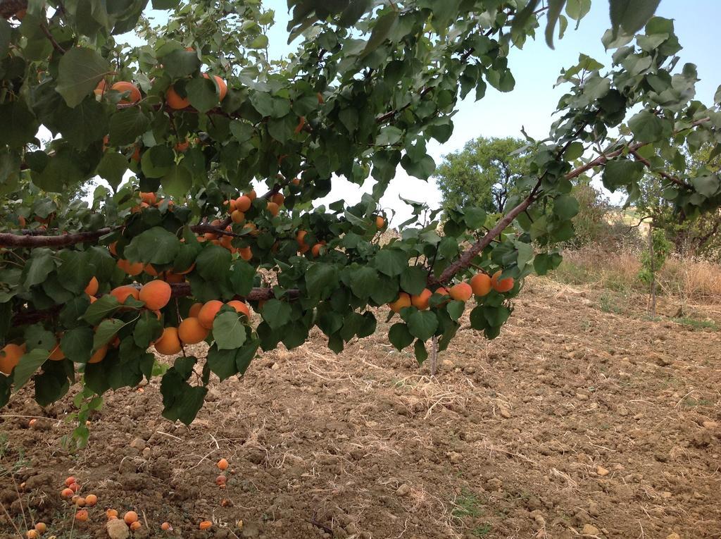 B&B A Robba De Pupi Agrigent Exterior foto